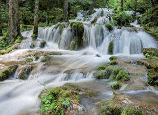 Izletište – Vrelo Miljacke – Pale